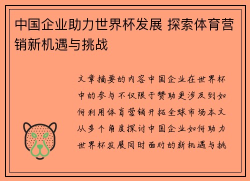 中国企业助力世界杯发展 探索体育营销新机遇与挑战